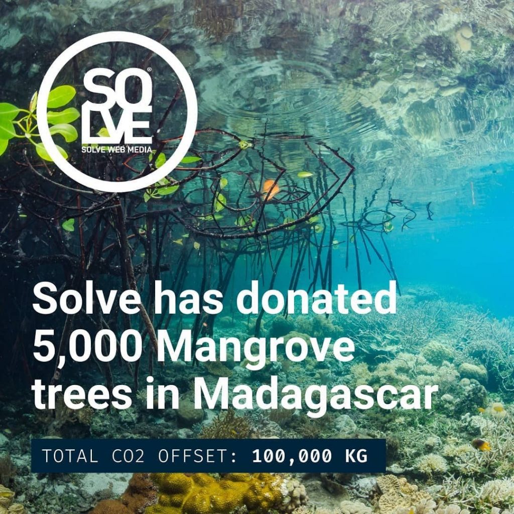 A phot of mangrove tree's - Solve has donated 5000 mangrove trees in Madagascar offsetting 100,000 KG of CO2