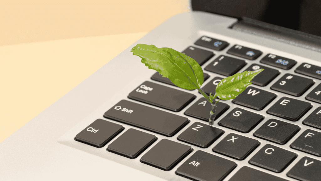 The Role of Ethical Web Hosting in the B-Corp Movement 2 ethical web hosting demonstrated by a small plant growing out of a laptop keyboard