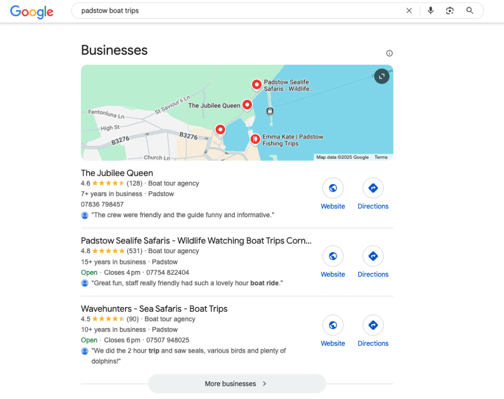 Top Benefits of Local SEO and How They Impact Your Business 4 The benefits of local seo showing Padstow Sealife Safaris ranking for the search term “Padstow boat trips”