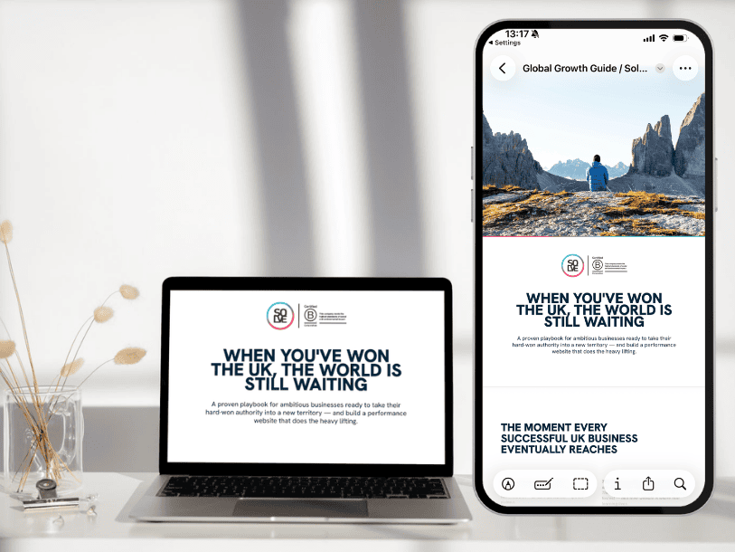 Home 12 International seo strategy