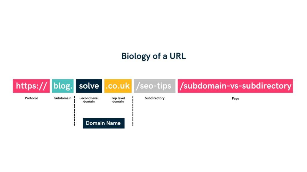 URL biology