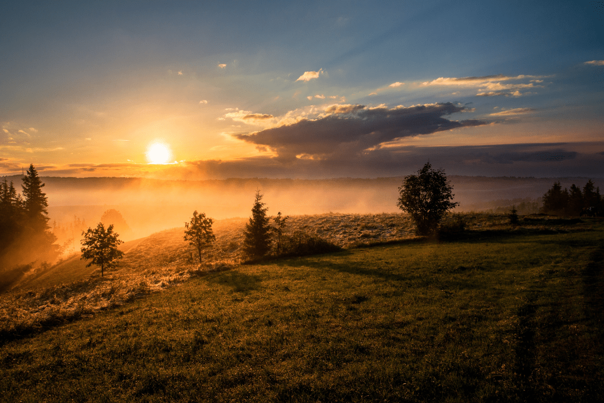 The Power of Good in the Digital World 1 a green digital marketing agency using business as a force for good meadow