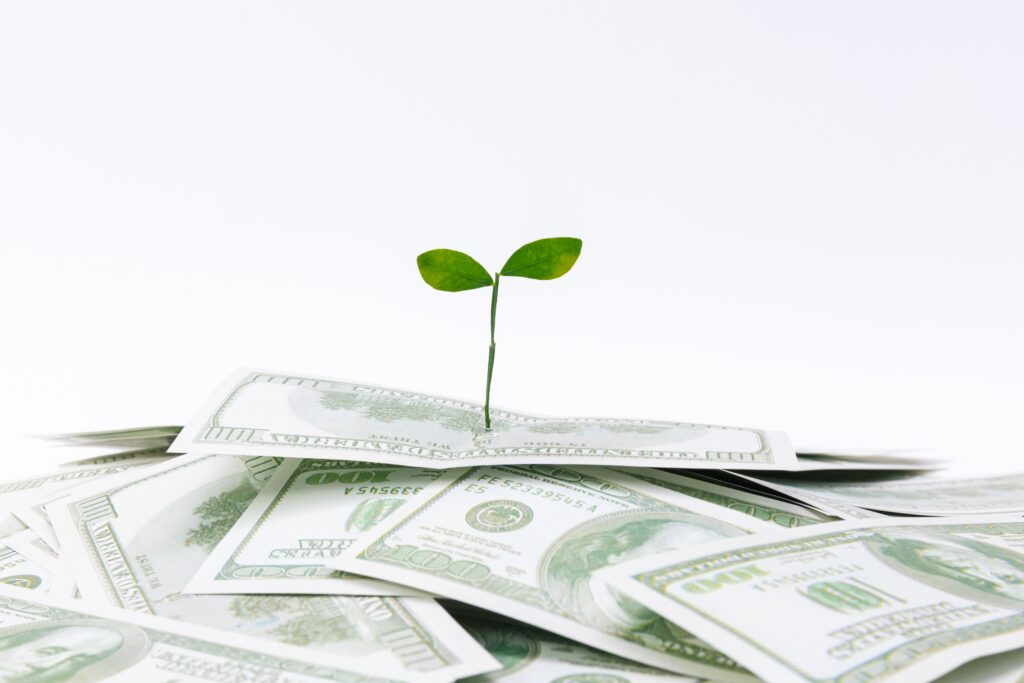 Sprout sapling growing out of a pile of money.
