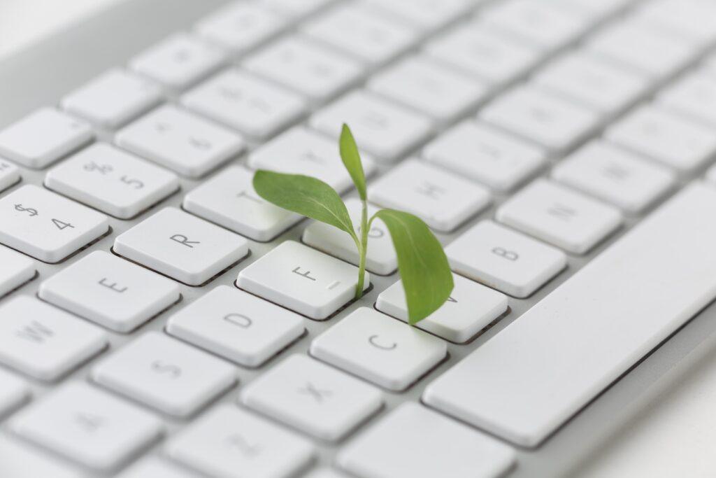 A green sapling sprouting up through a keyboard laptop to represent green hosting.