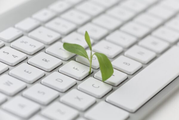 A green sapling sprouting up through a keyboard laptop to represent green hosting.