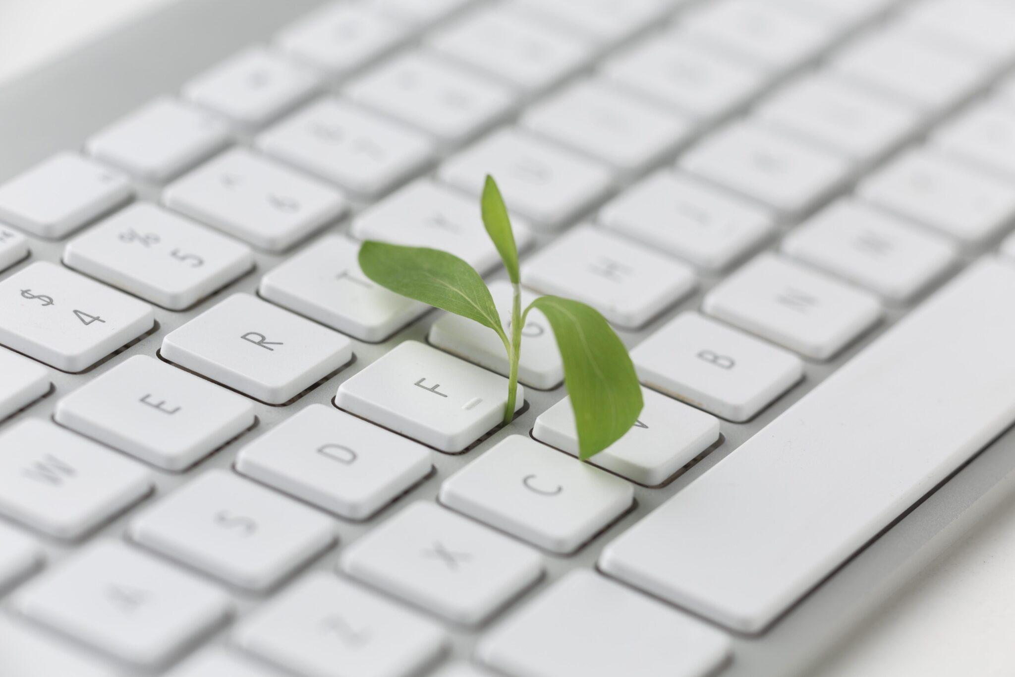 A green sapling sprouting up through a keyboard laptop to represent green hosting.