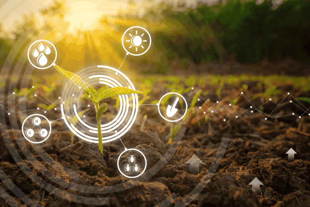 Environmental Impact of AI: Balancing Innovation with Sustainability 4 modern agriculture using AI