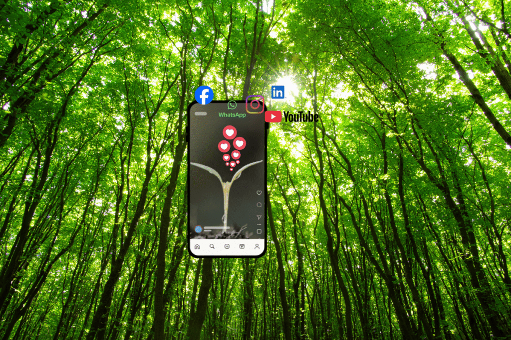 green forest pictured with phone with another tree and social icons that comes off the phone