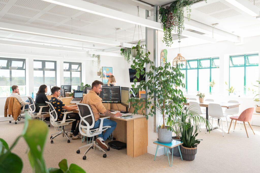 Solve Named As One of Cornwall’s Best Places to Work 2025 2 Solve Named As One of Cornwall’s Best Places to Work 2025 2